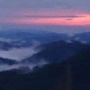 Meet your Posher, Todd